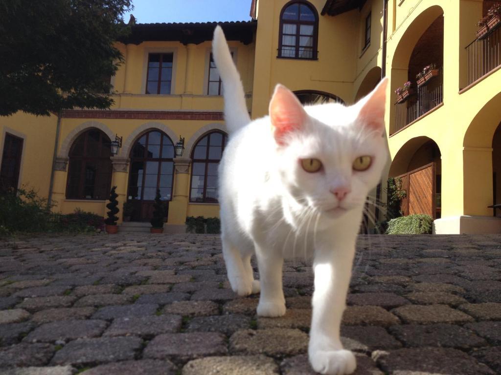 Villa Soleil Colleretto Giacosa Dış mekan fotoğraf