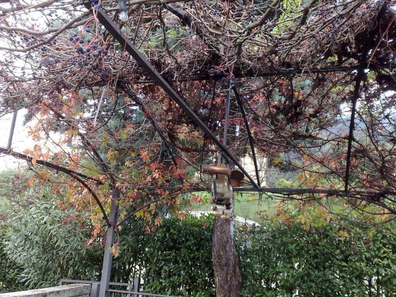 Villa Soleil Colleretto Giacosa Dış mekan fotoğraf